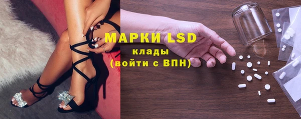 эйфоретик Инта