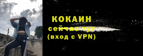 ALPHA PVP Инсар