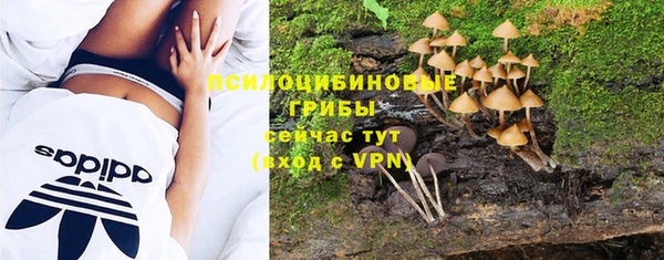 2c-b Иннополис