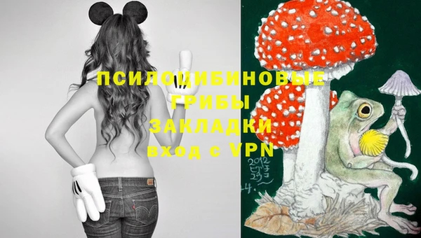 прущие грибы Семикаракорск