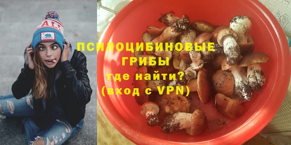 эйфоретик Инта
