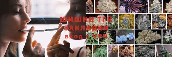 эйфоретик Инта