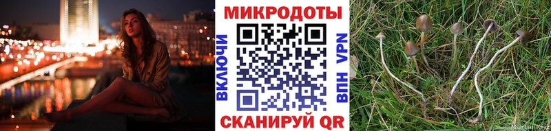 Купить закладки  Гай  Галлюциногенные грибы Magic Shrooms 
